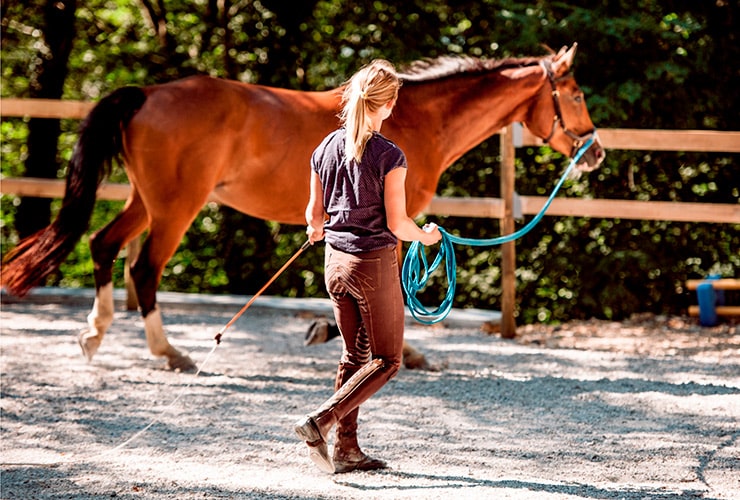 Clases de Equitación
